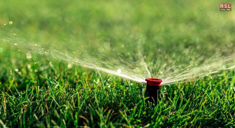 How Often To Water Grass Seed For A Lush Lawn