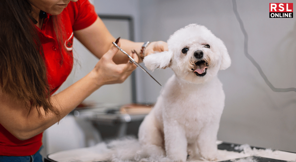 Pet Grooming